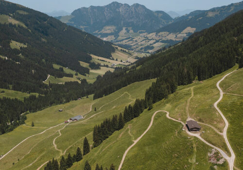 Österreichs Almgebiete im Zahlenvergleich