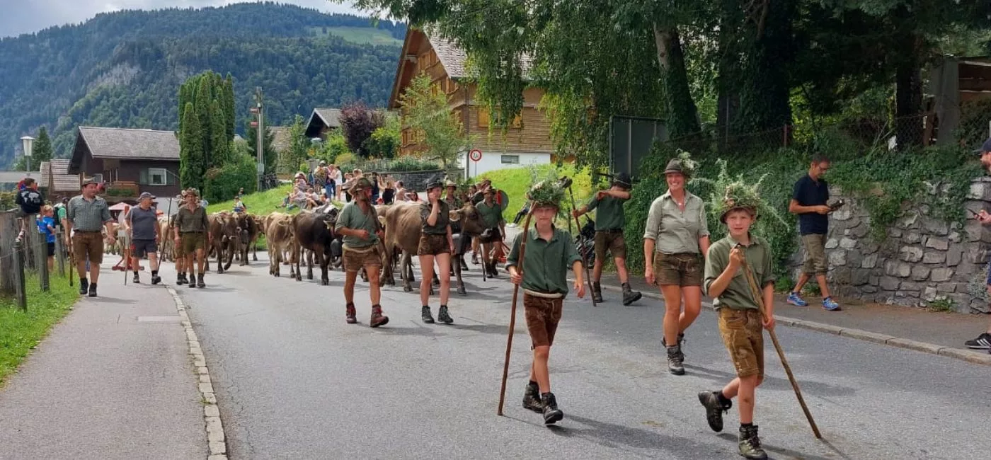 Schwarzenberger Alptag im Bregenzerwald