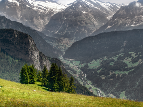 Literarische Almschmankerln: Das große österreichische Alpenbuch für die ganze Familie