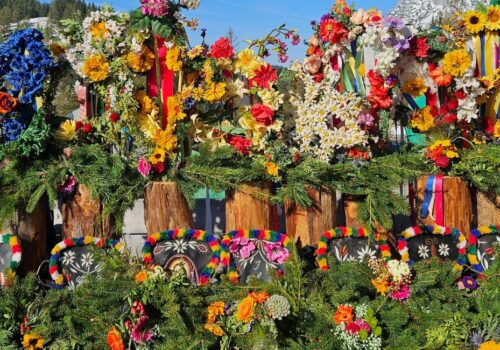 Alle Bilder vom Almabtrieb von der Walcher Alm