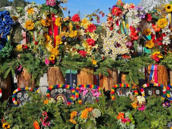 Alle Bilder vom Almabtrieb von der Walcher Alm